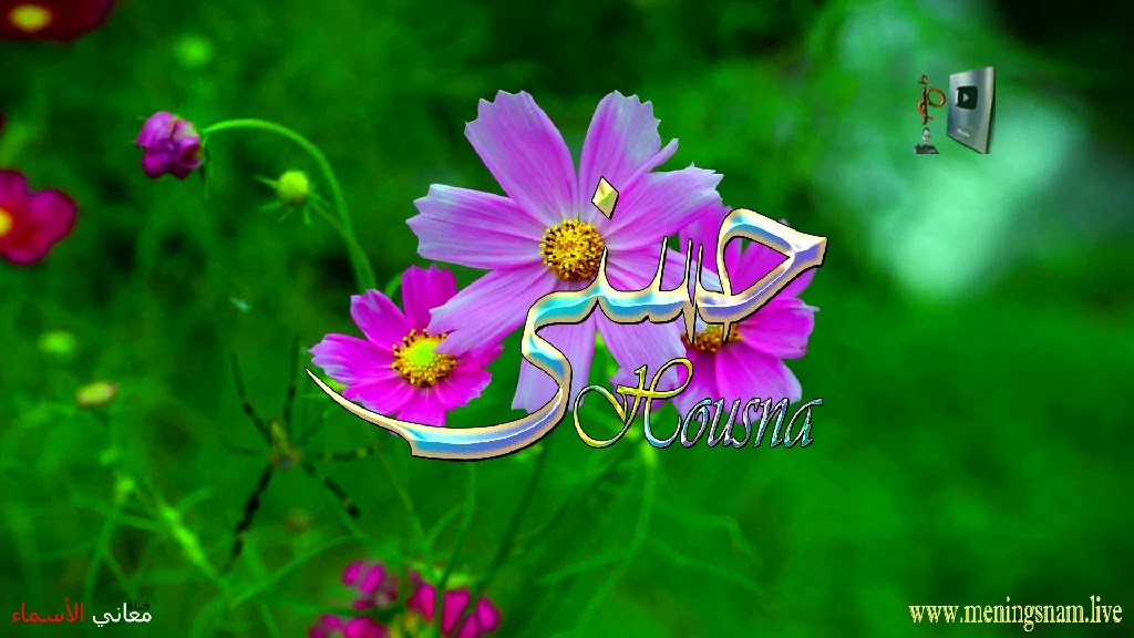 معنى اسم حسنى, وصفات حاملة, هذا الاسم, Housna, ما معنى, معنى اسم اسماء, اسماء بنات, اسماء اولاد, معنى اسم محمد,  مريم, ميلا,  ليان, معنى اسم علي, ترجمة,  تيا,  يوسف, عمر,  روان,  ريماس,  يزن,  ميرا, ايلا,  نور,  احمد, مترجم, ليا,  ميرال,  سيليا,  اسيل,  ماريتا,  داليا,  ناي, اسماء بنات من الجنة, معنى اسم عمار, حنين,  وجد,  جوى,  لورا,  بندر, سيليا, ارام,  هتان,  حور,  سناء,  وتين,  ملاذ,  ريمان,  مسك, فريال, مازن, ميان, هند, رهام, ما معنى اسم ليان, معنى اسم ايلا,معنى اسم ليا,معنى اسم ميلا,معنى اسم ليلى,معنى اسم تيا,معنى اسم ليان,معنى اسم يارا,معنى اسم ميرا,معنى اسم يزن,معنى اسم مريم