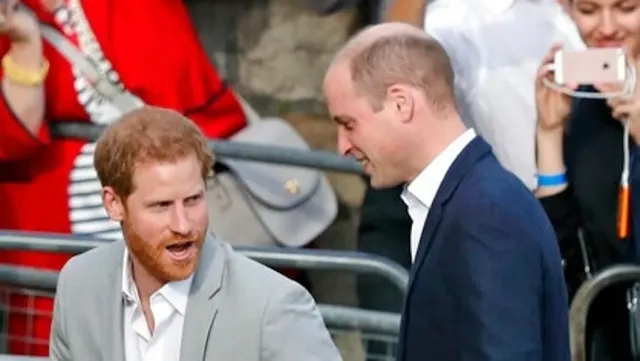 Prince Harry and Prince William ‘Reunited’ Through Unexpected Palace Recognition