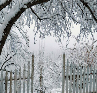 Snow Deer Escape