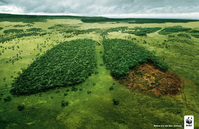 Awesome ads campaign from WWF picture