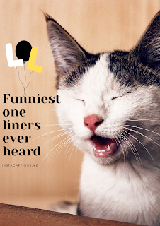 funniest one liners ever heard | 101 + best one-liners of all time I InstaCaptions