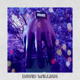 https://davidwilliam.bandcamp.com/album/2020