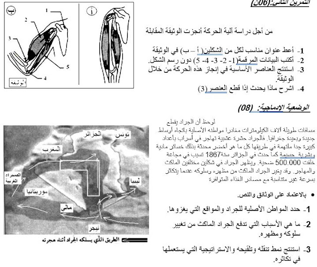 اختبارات العلوم الطبيعية للسنة الثانية متوسط للفصل الثاني