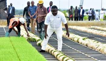 Cross River Gov. Ben Ayade Declares Green Holiday For Planting 1m Trees Across The State