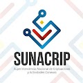 Providencia mediante la cual se designa a Jorge Román Soto Ramos, como Intendente (E) de Servicios Criptofinancieros, de la Superintendencia Nacional de Criptoactivos y Actividades Conexas (SUNACRIP)