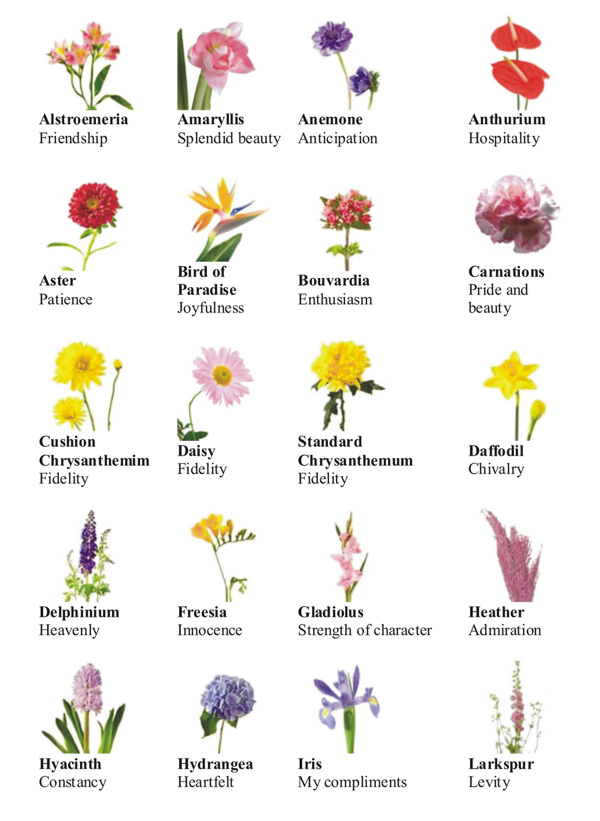 different types of flowers