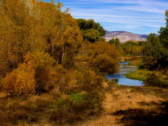 Gila River, Gila, NM