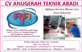 Ahlinya Service Mesin Cuci Area Sidoarjo 