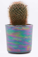 http://www.urbanoutfitters.com/fr/catalog/productdetail.jsp?id=5559288480050&category=GIFTS-UNDER12-EU