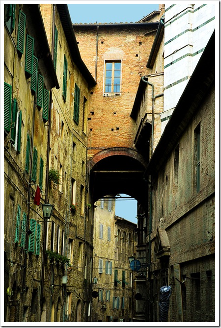 siena_17_2004