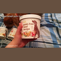 The Honest Kitchen Dehyrdated Dog Food in Single Serve Cups Review