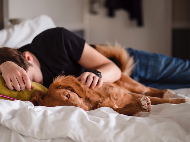 How much nap can improve your work performance - NASA