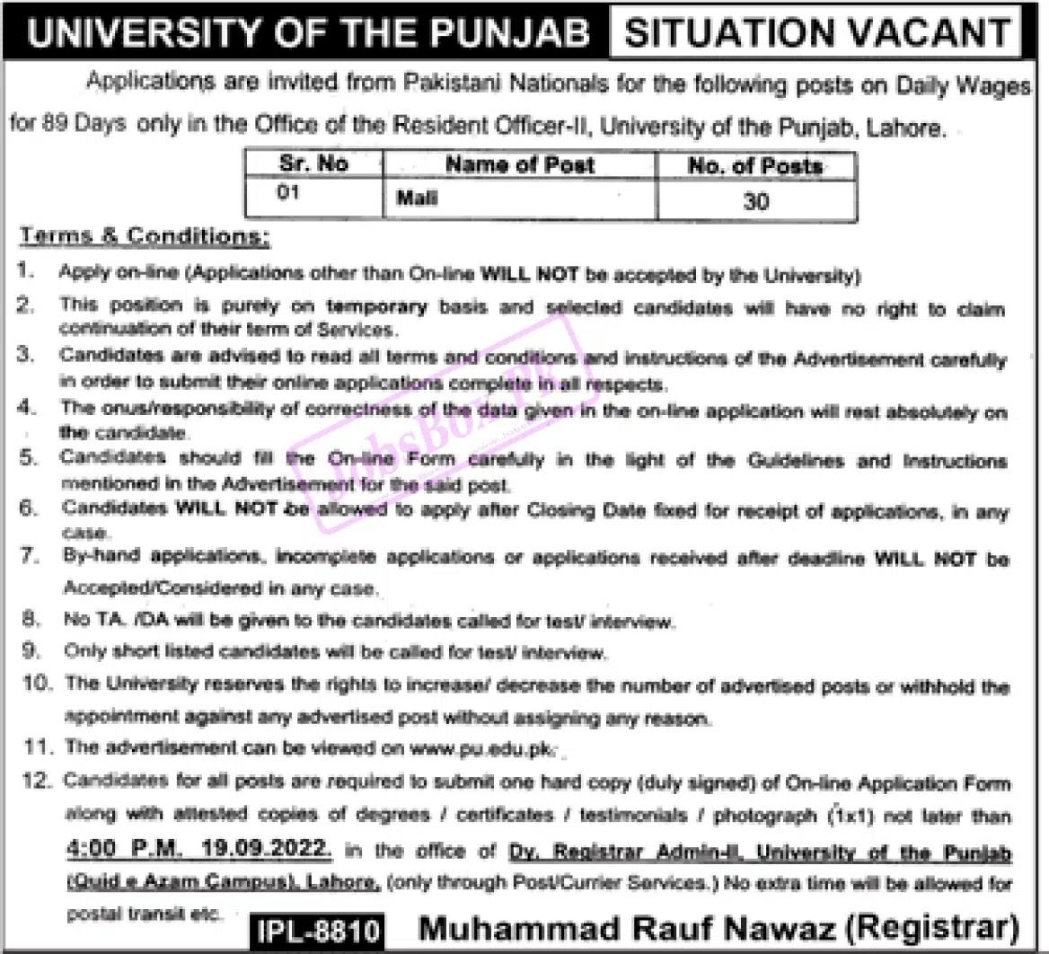 Punjab University Jobs 2022 Apply Online - Punjabi University Jobs 2022 - PU Jobs 2022 - PU Job Challan Form 2022 - Panjab University Jobs 2022 - jobs pu.edu.pk