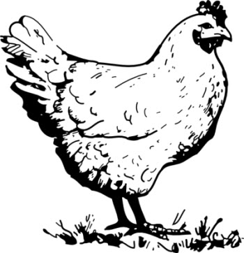 Farm Coloring Pages on Coloring  Coloring Pictures Of Farm Animals For Kids