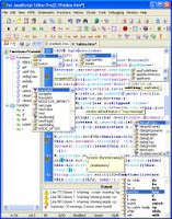 1st JavaScript Editor Version PRO Crack