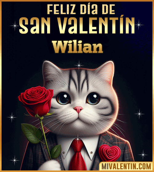 Gif con Nombre de feliz día de San Valentin Wilian