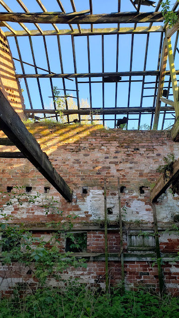 Inside the Abandoned Buildings Around the Property Low Moss House