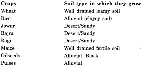 CROPS-WITH-SOIL