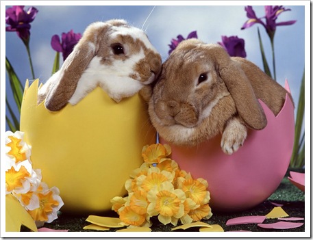 easter-wallpaper-003-1024