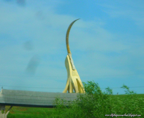 P1090248 P1090248
