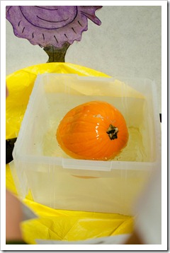 pumpkinday7