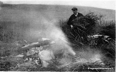 Brûlage de sarments de vigne.