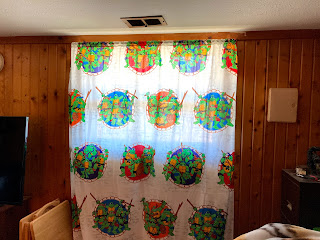 Teenage Mutant Ninja Turtle bedsheet repurposed as a curtain