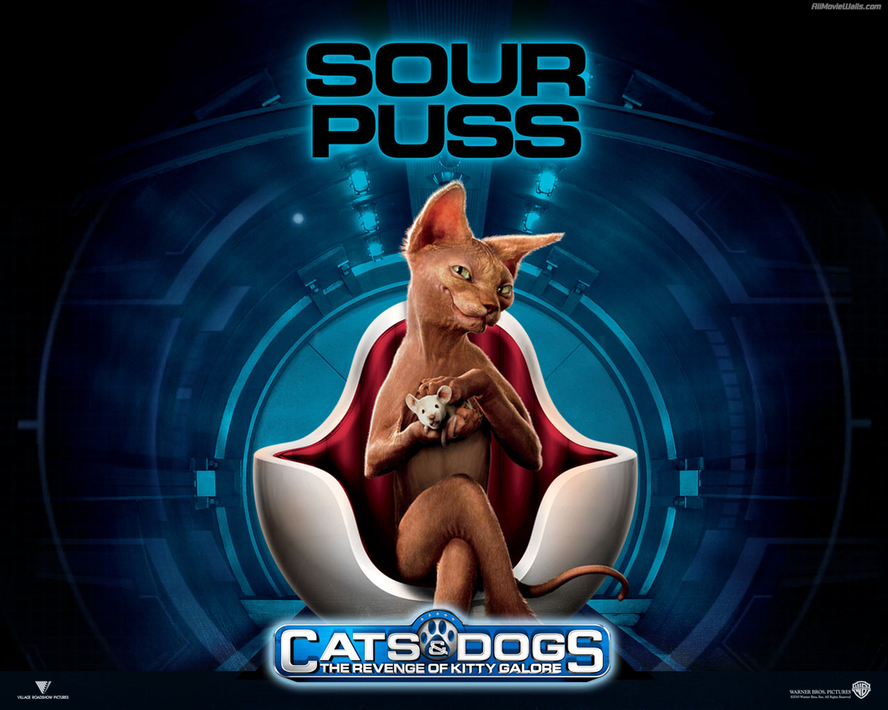 Koleksi Kartun  Terbaik Cats  And Dogs  Sour Puss