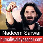 https://www.humaliwalayazadar.com/2018/09/nadeem-sarwar-nohay-1982-to-2019.html