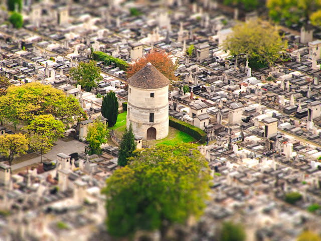 jiemve, tilt-shift, cimetière, Montparnasse