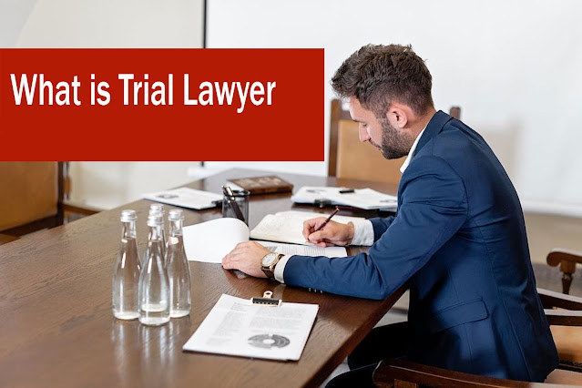 What is Trial Lawyer?