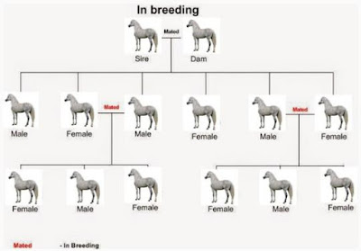 Inbreeding is the mating between animals