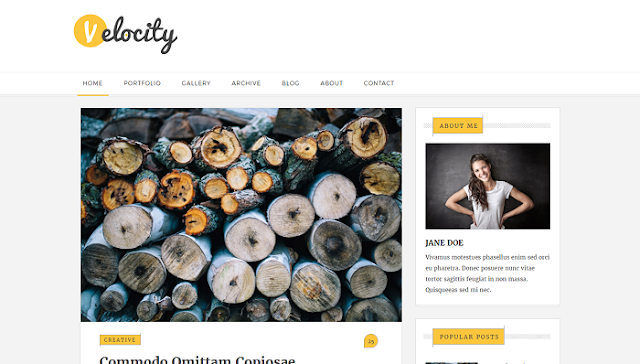 Velocity Blogger Teması