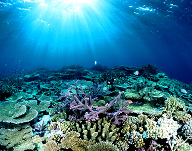 beautiful places in the world The Great Barrier Reef