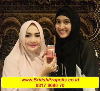 British-Propolis-Makassar-Palopo-Parepare-Sengkang-Toraja-Soppeng-Sinjai-Sidenreng-Rappang-Maros-Tuikale-Gowa-Enrekang-Bulukumba-Bone-Gorontalo-Pohuwato-Boalemo-Manado-Tomohon-Kotamobagu-Bitung-Minahasa-Tondano-Palu-Toli-Toli-Tojo-Ampana-Poso-Parigi-Morowali-Donggala