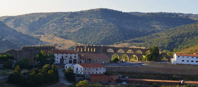 Morella