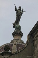 IMG_0600