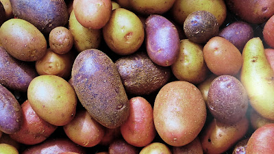 Kartoffelsorten