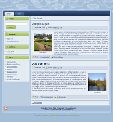 two column wordpress theme blue