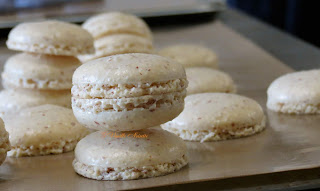 Macarons cacahuète, noisette, noix de pécan et noix de coco