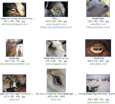 Goats have weird eyes and it's time for a Threadless gift certificate