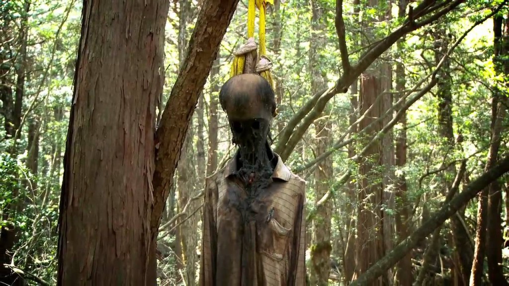 mother nature Aokigahara Suicide  Forest  Japan 