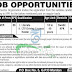 Communication and Works Department Punjab Jobs 2023 Latest