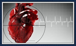 Facts about heart | Heart Attack Treatment
