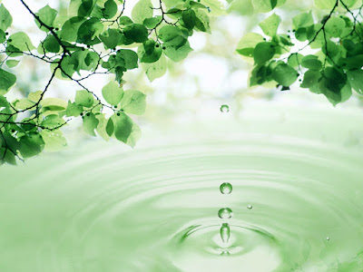 3D, water, drop, wallpaper, free pc wallpaper, 3D wallpaper, amazing photos, best photos of nature, nature around