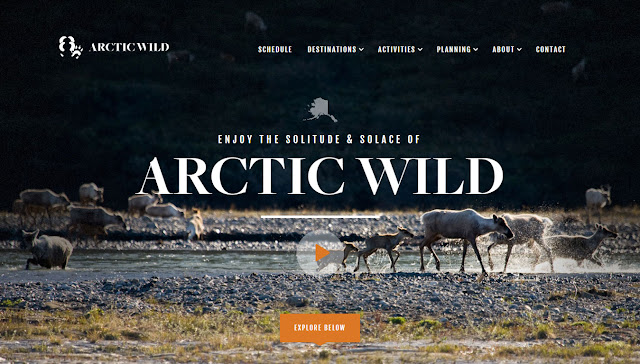 Arctic Wild