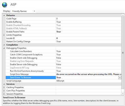 IIS Send Errors to Browser