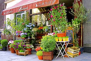 Image result for flower shops pictures