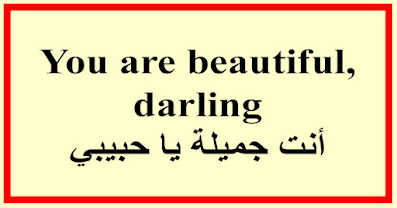 You are beautiful, darling أنت جميلة يا حبيبي