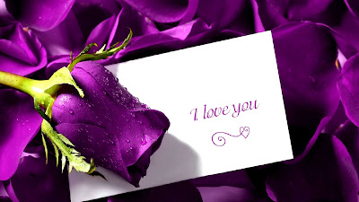valentines day purple rose hd wallpaper